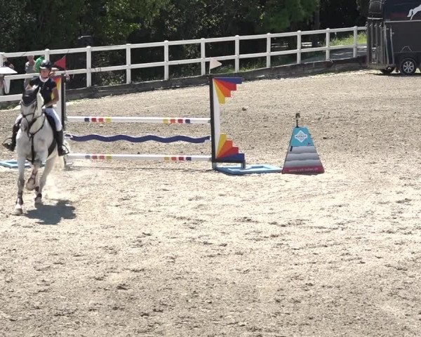 Reitturnier Aesch bei Neftenbach 2021