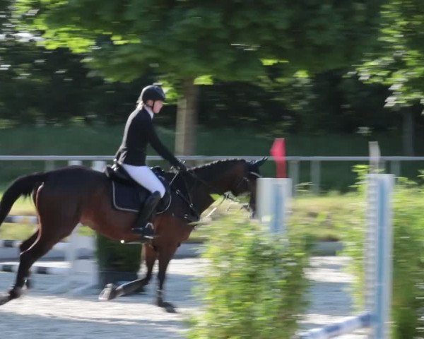 Reitturnier Elmlohe 2021