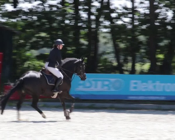 Reitturnier Elmlohe 2021
