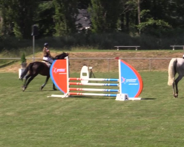 Reitturnier Reitstadion Löbnitz 2021