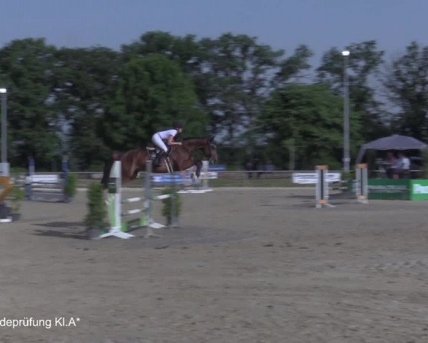 Reitturnier Coesfeld/Lette 2021