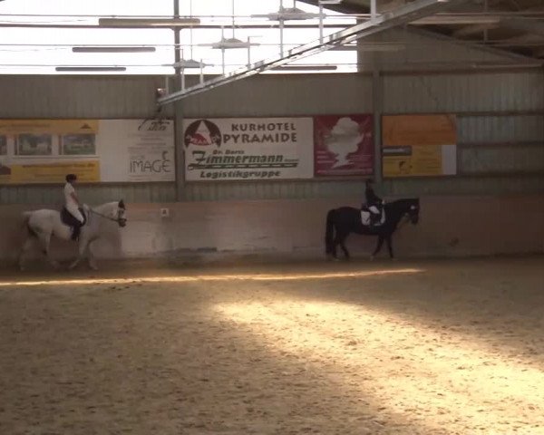Reitturnier Bad Windsheim/Mfr. 2021