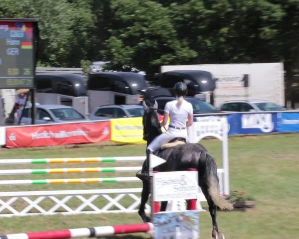 Reitturnier Nienburg 2021