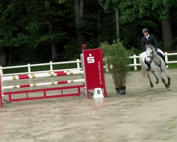 Reitturnier Nordstetten- Horb 2021