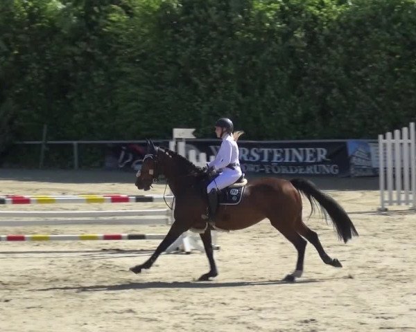 Reitturnier Fröndenberg 2021