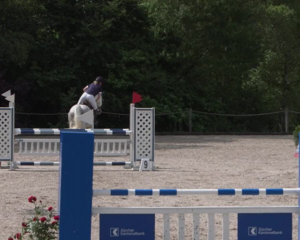 Reitturnier Meilen 2021
