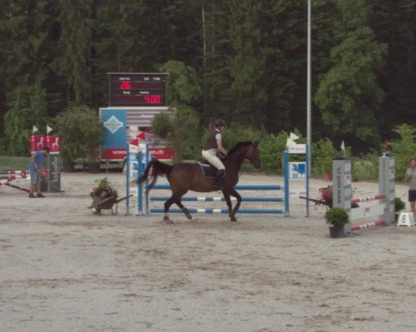 Reitturnier Meilen 2021