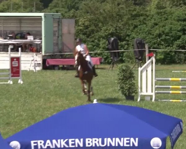 Reitturnier Bad Windsheim/Mfr. 2021