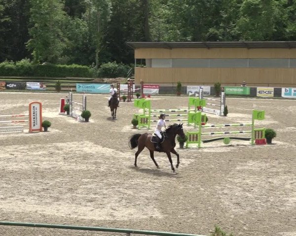 Reitturnier Schaffhausen 2021