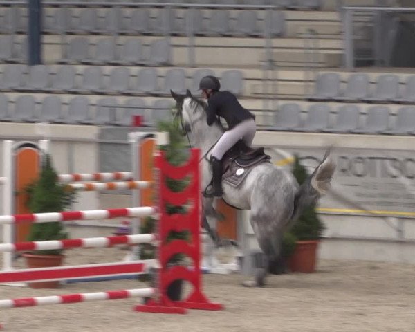 Reitturnier Aachen 2021