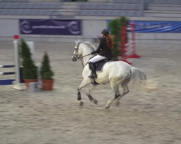 Reitturnier Aachen 2021
