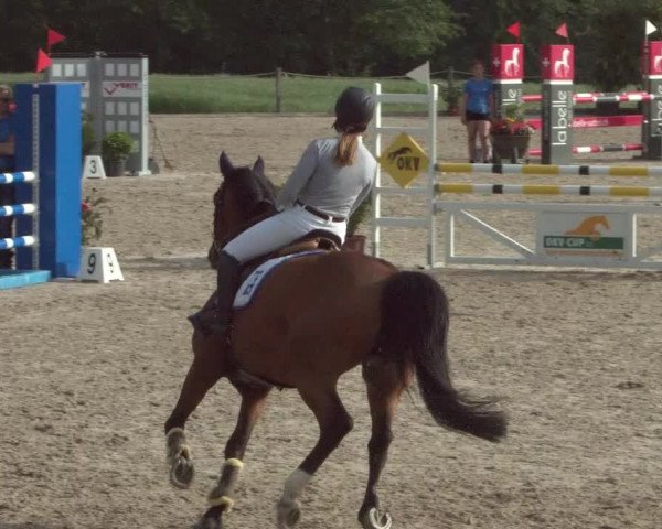 Reitturnier Meilen 2021