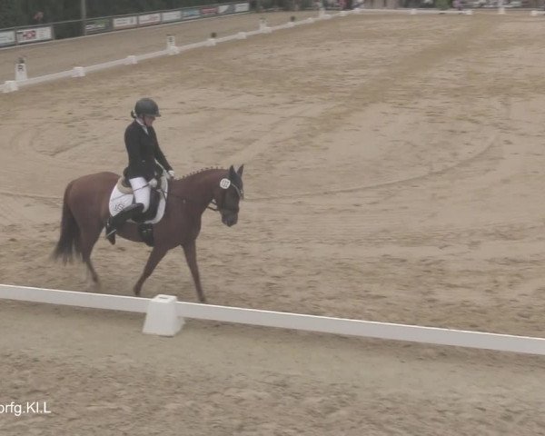 Reitturnier Uder, Reitanlage Kobold 2021