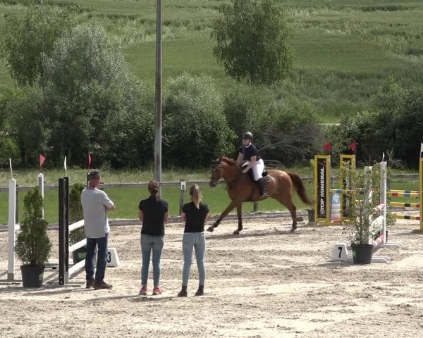 Reitturnier Rothenfluh 2021