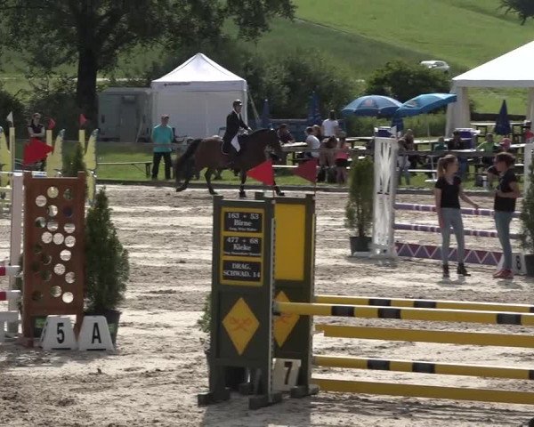 Reitturnier Rothenfluh 2021