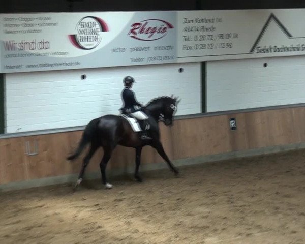 Reitturnier Rhede 2021