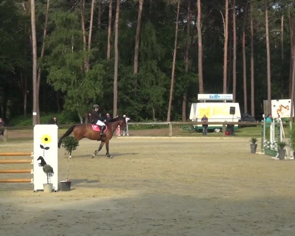 Reitturnier Rhede 2021