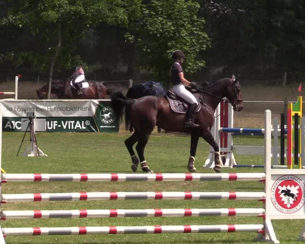 Reitturnier Kellinghusen 2021