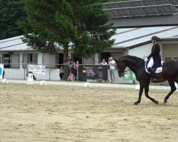 Reitturnier Bad Marienberg - OT Nisterau 2021