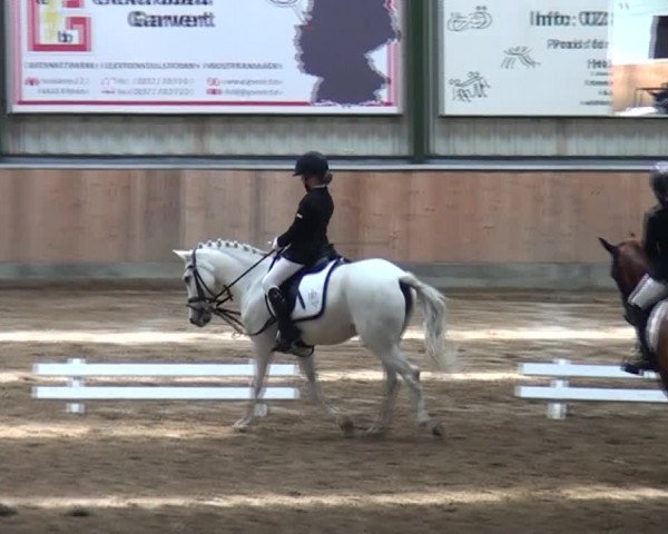 Reitturnier Rhede 2021