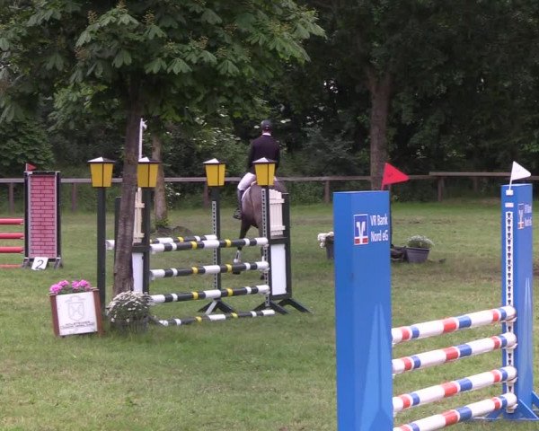Reitturnier Stadum 2021