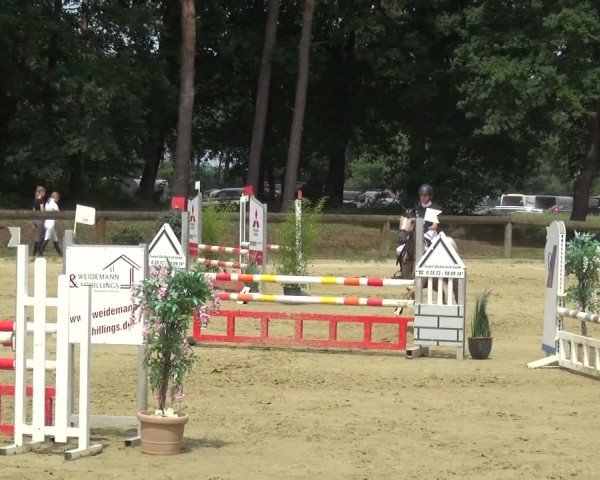 Reitturnier Rhede 2021