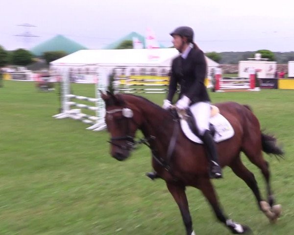 Reitturnier Dersekow 2021