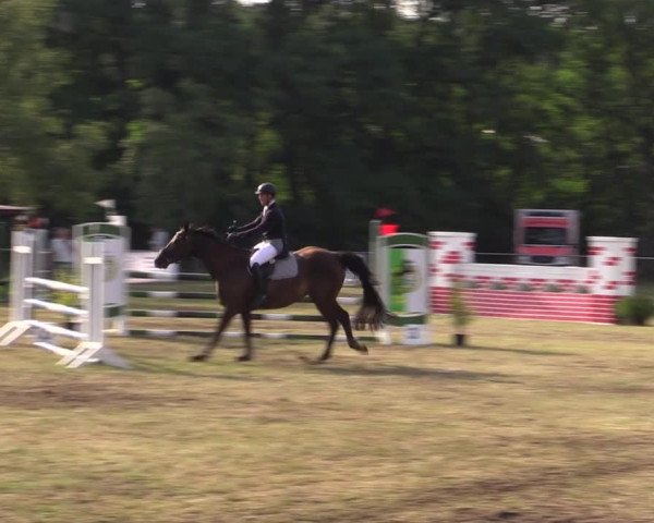 Reitturnier Niederwerbig 2021