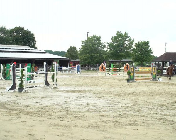 Reitturnier Münster-Roxel 2021