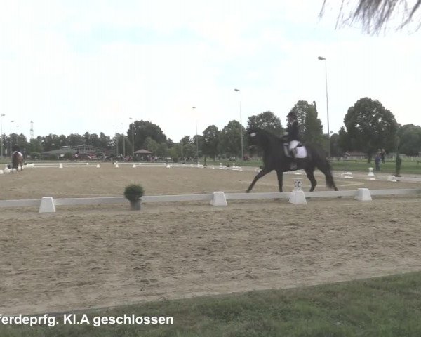 Reitturnier Münster-Roxel 2021