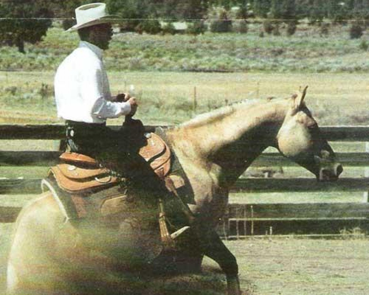 stallion Dolls Union Jac (Quarter Horse, 1986, from Hollywood Jac 86)