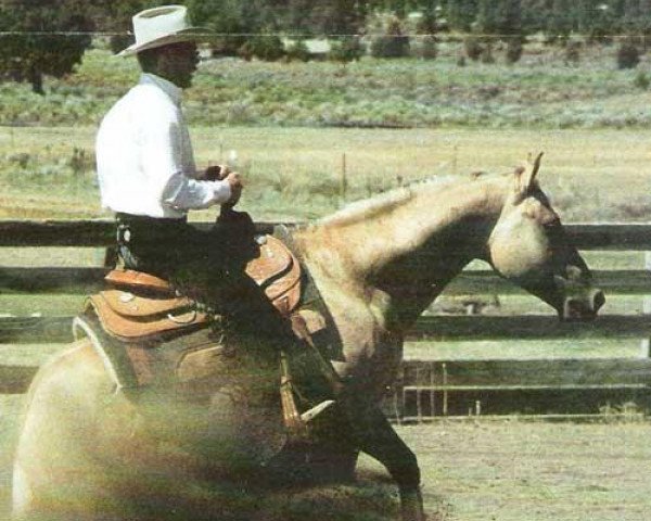 Deckhengst Dolls Union Jac (Quarter Horse, 1986, von Hollywood Jac 86)