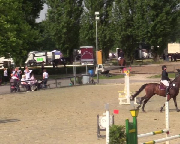 Reitturnier Hamm-Rhynern 2021