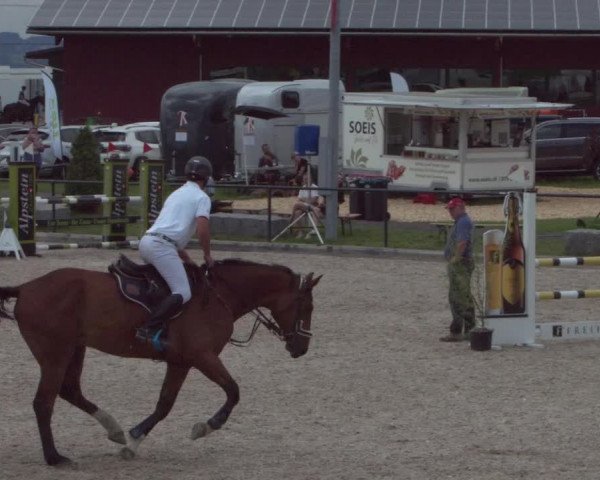 Reitturnier Gossau 2021