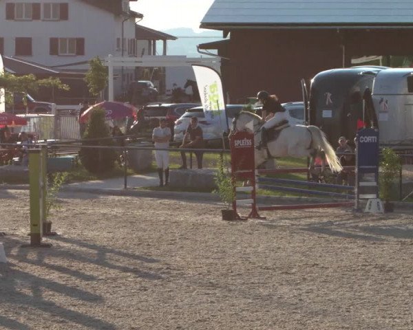 Reitturnier Gossau 2021