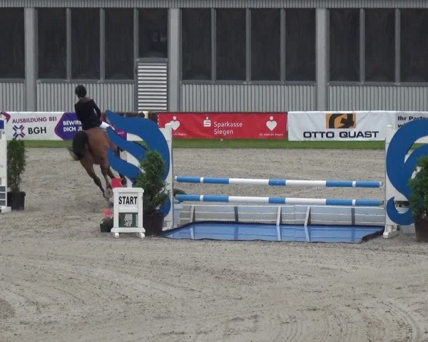 Giebelwald Classics mit Westfälische Meisterschaften Dressur und Springen 2021