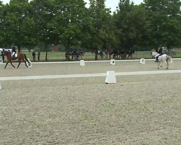 Reitturnier Rot am See- Musdorf 2021