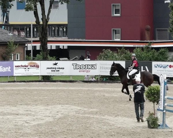 Reitturnier Dagmersellen 2021