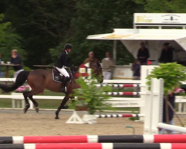 Reitturnier Ladelund 2021