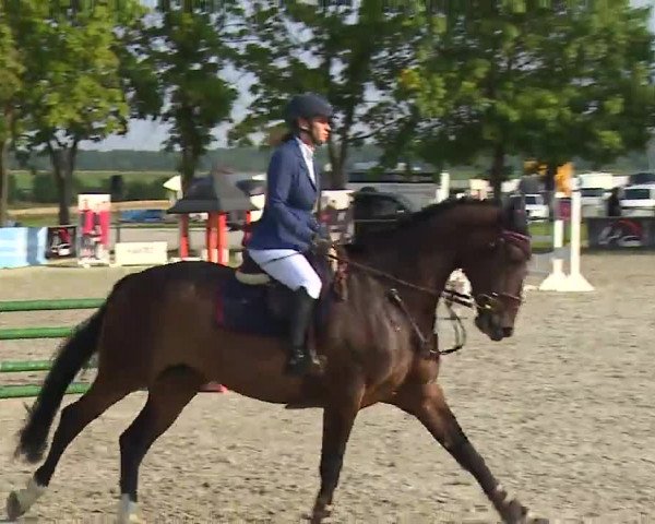 Reitturnier Rot am See – Musdorf 2021