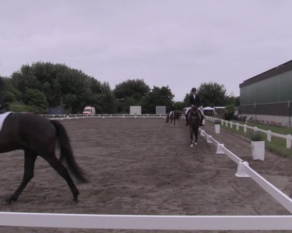 Reitturnier St. Peter Ording 2021
