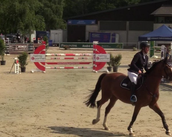 Reitturnier Olfen-Vinnum 2021
