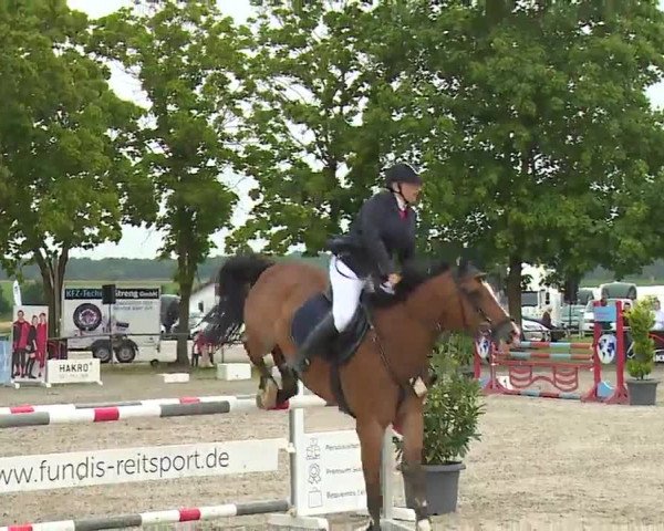 Reitturnier Rot am See – Musdorf 2021