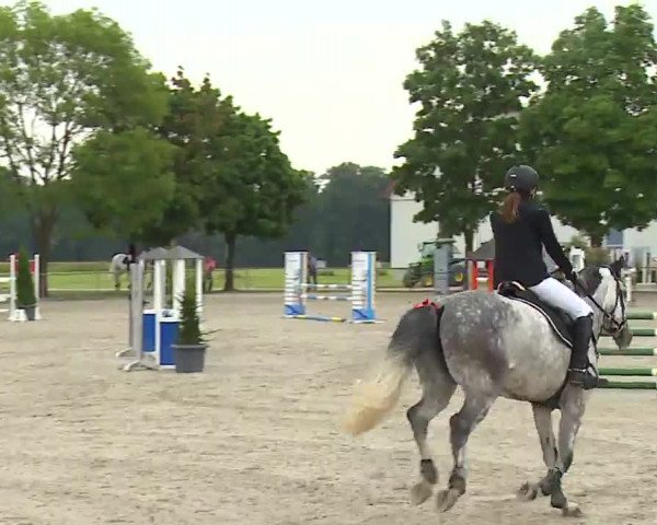 Reitturnier Rot am See – Musdorf 2021