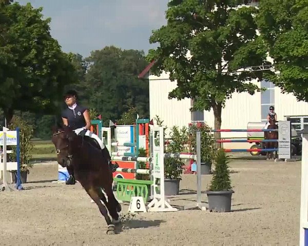 Reitturnier Rot am See – Musdorf 2021