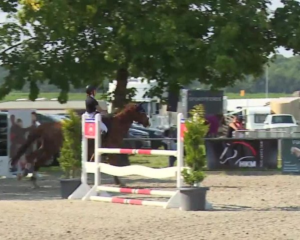 Reitturnier Rot am See – Musdorf 2021