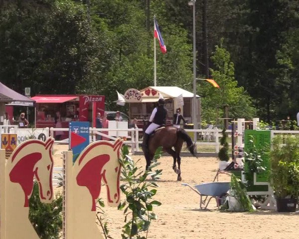 Reitturnier Ladelund 2021