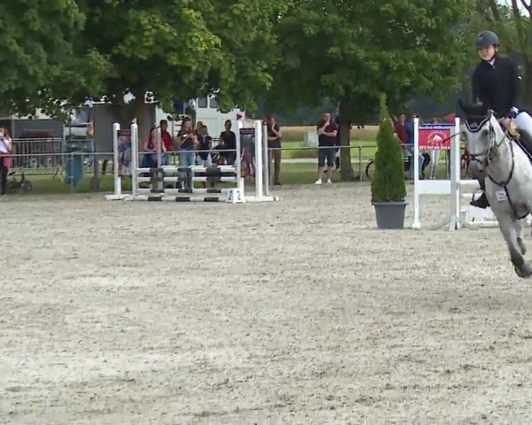Reitturnier Rot am See – Musdorf 2021