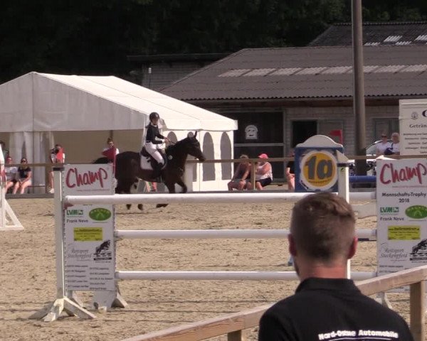 Reitturnier Kropp 2021
