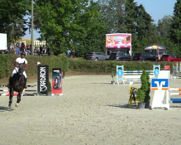 Reitturnier Vlotho-Exter 2021
